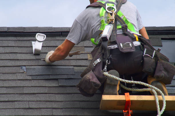 Best Roof Repair Services  in Baudette, MN