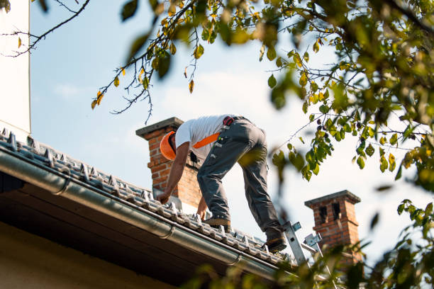 Best Roof Repair Specialists  in Baudette, MN