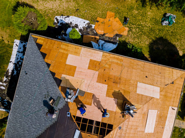 Best Roof Restoration Services  in Baudette, MN