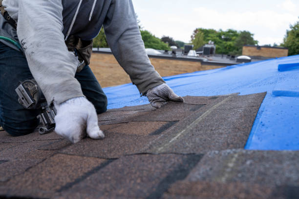 Best Slate Roofing Contractor  in Baudette, MN