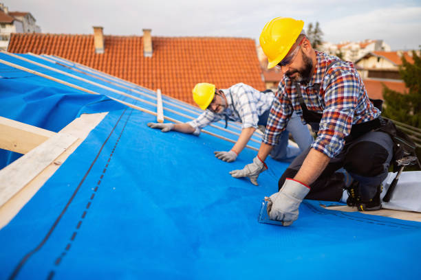 Best Roof Waterproofing Services  in Baudette, MN