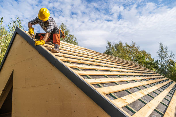 Sealant for Roof in Baudette, MN