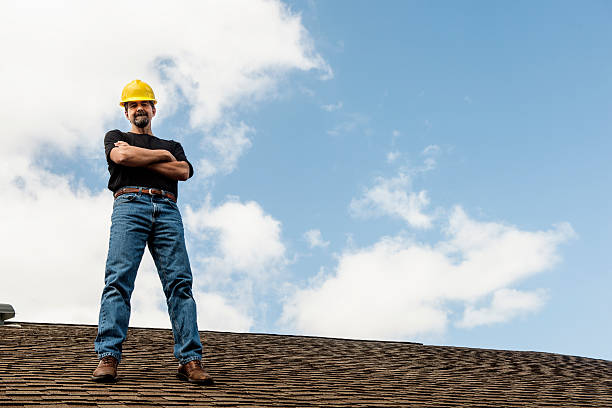 Best Shingle Roofing Installation  in Baudette, MN