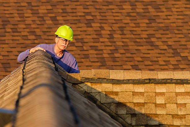 Best Roof Leak Repair  in Baudette, MN
