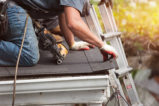 Best Roof Repair Estimates  in Baudette, MN