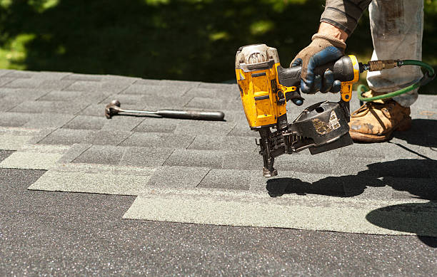 Professional Roofing Contractor in Baudette, MN