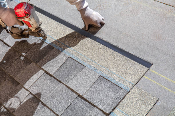Best Residential Roofing Contractor  in Baudette, MN