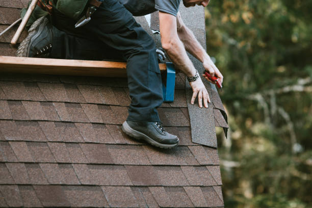 Best Slate Roofing Contractor  in Baudette, MN
